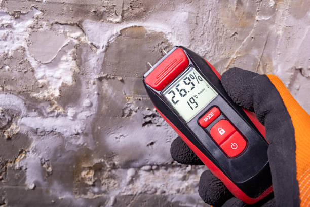 Best Black Mold Removal  in Metropolis, IL