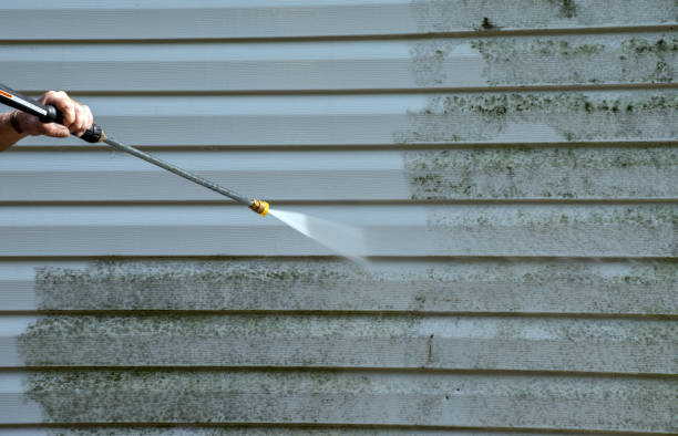 Best Local Mold Removal Service  in Metropolis, IL