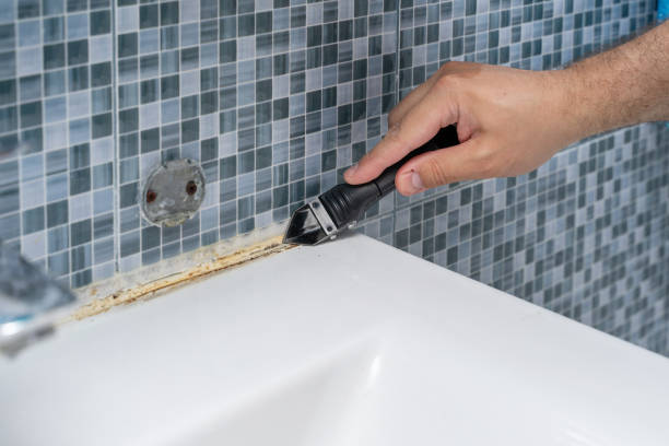 Best Toxic Mold Removal  in Metropolis, IL