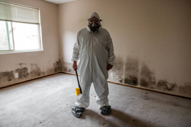 Best Residential Mold Removal  in Metropolis, IL